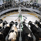 Image for article titled America Is Overproducing So Much Milk Farmers Have Started Burying It